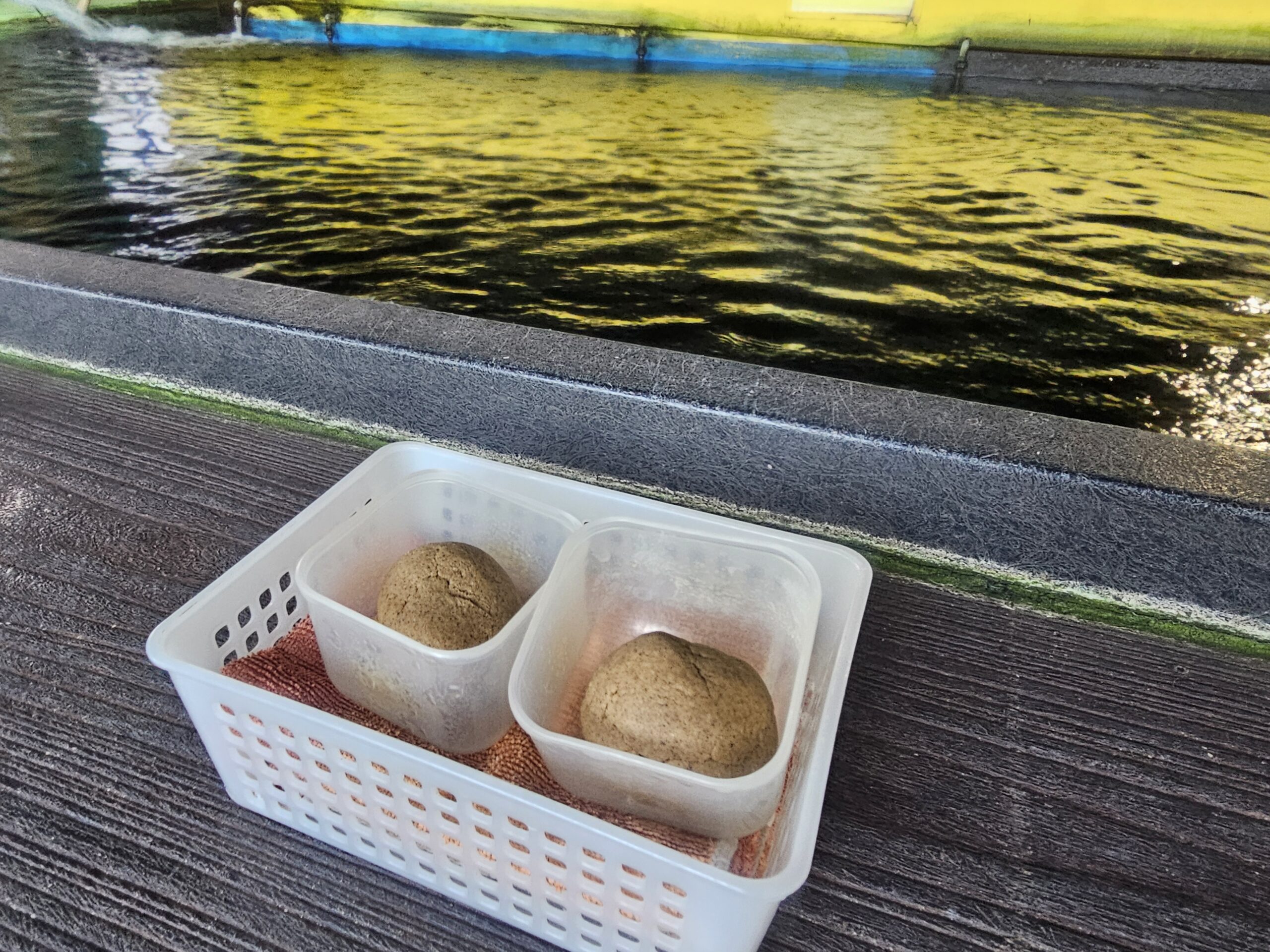 練り餌