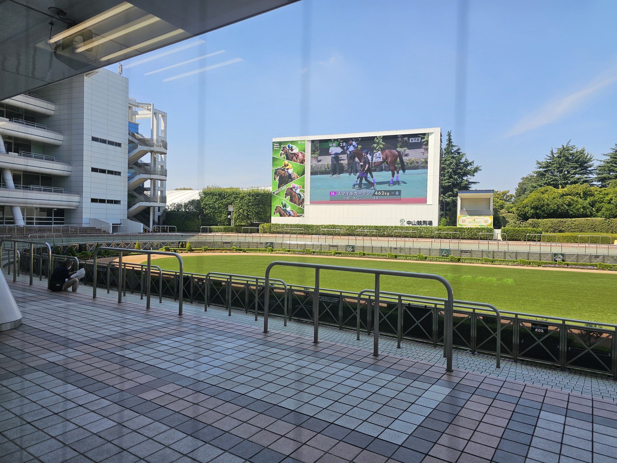中山競馬場のパドック