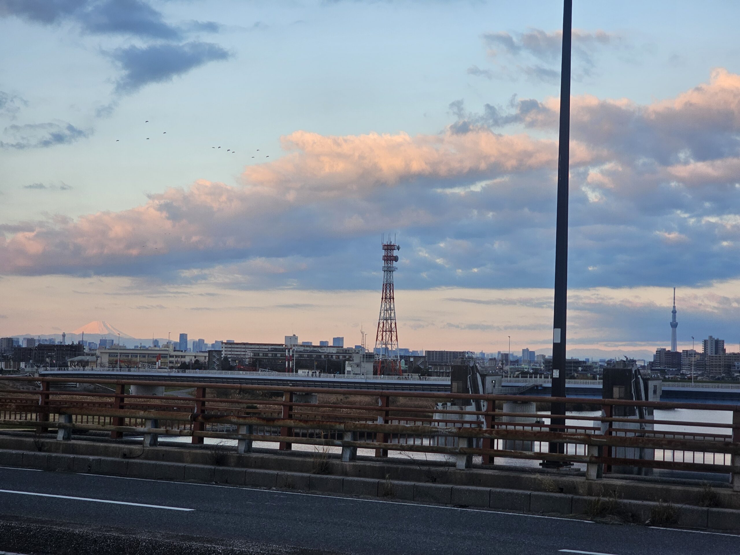 新行徳橋から見える東京スカイツリーと富士山のコラボ絶景
