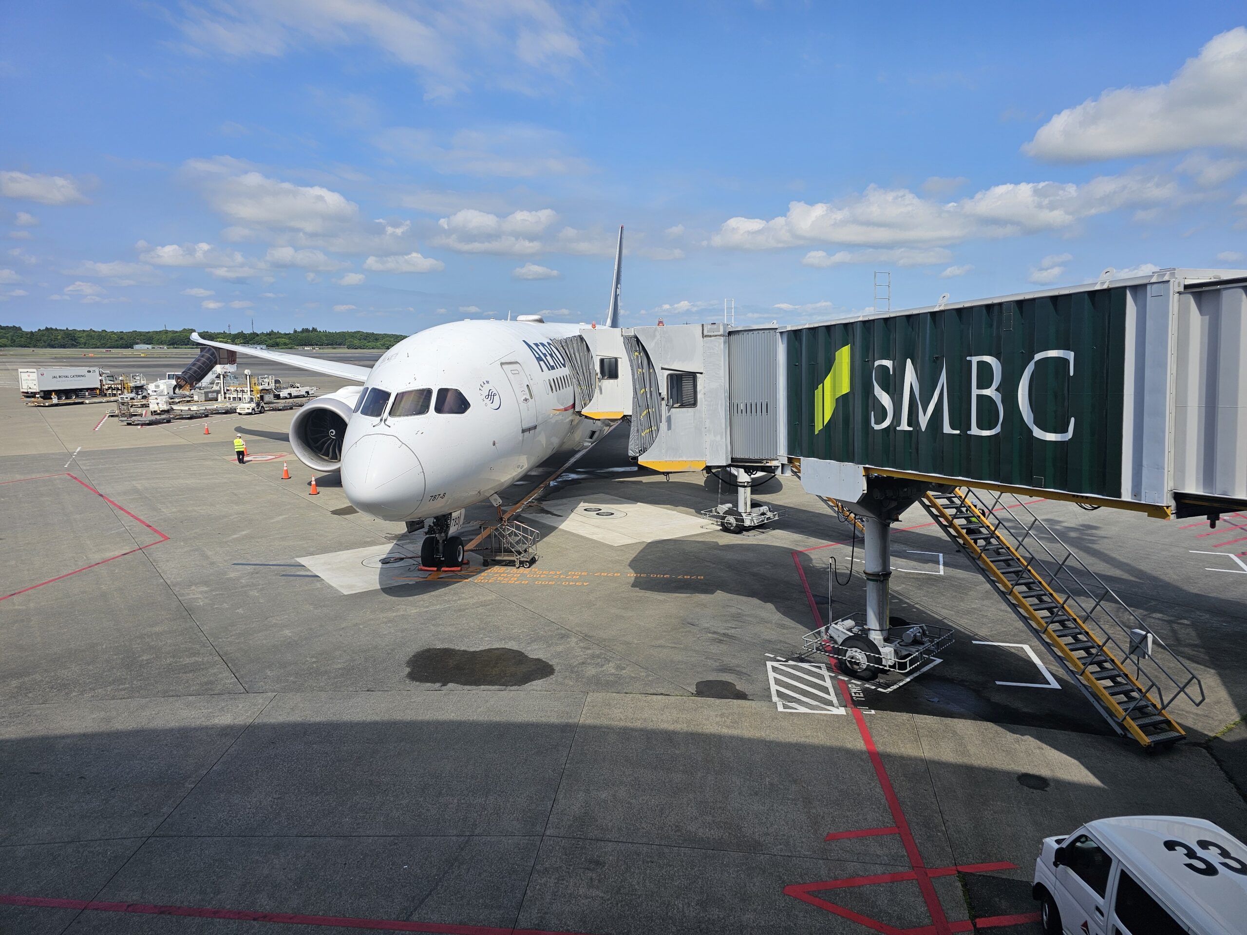 ゲートから見えたアエロメヒコ航空