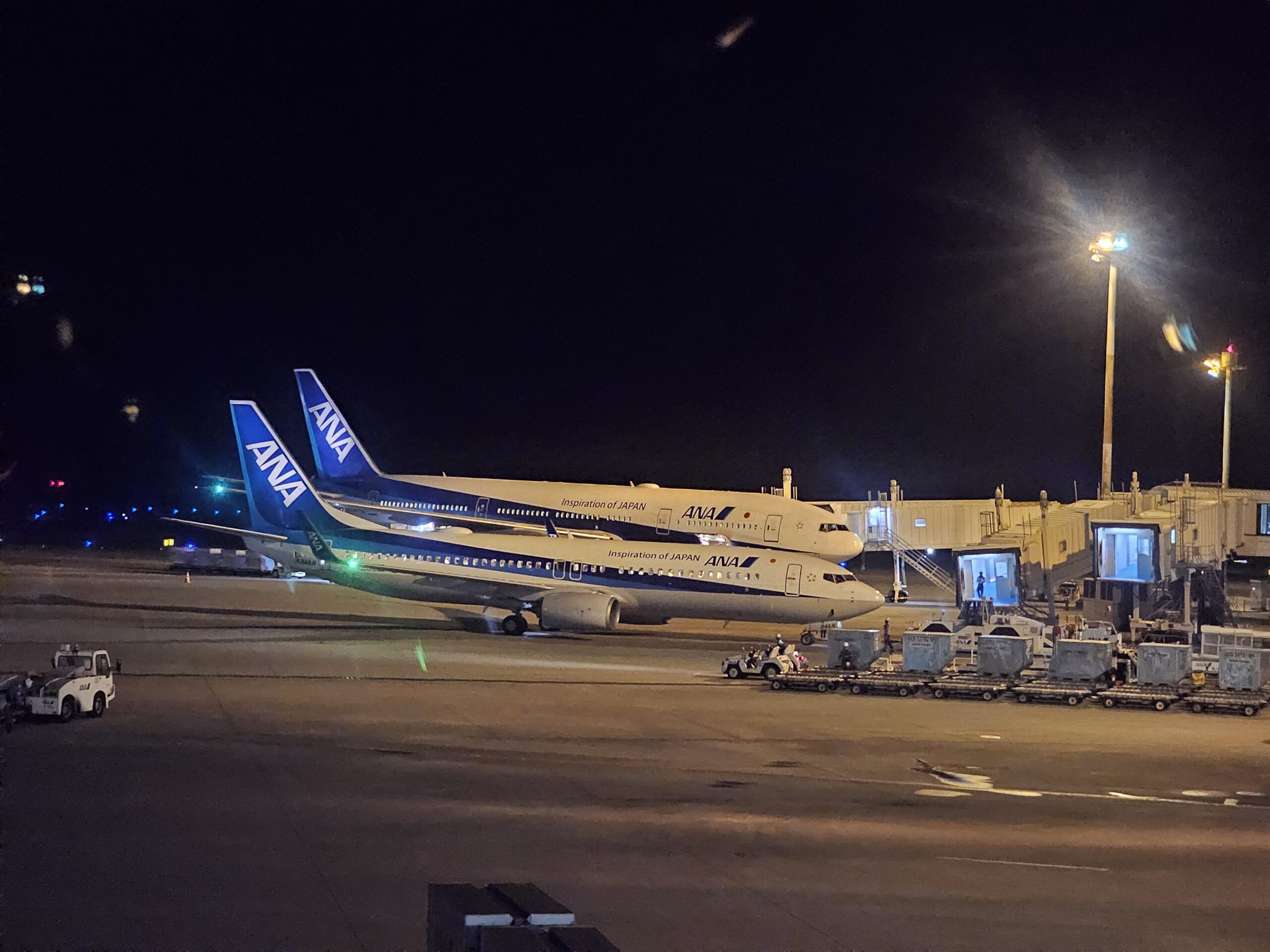 那覇空港から登場したANA便